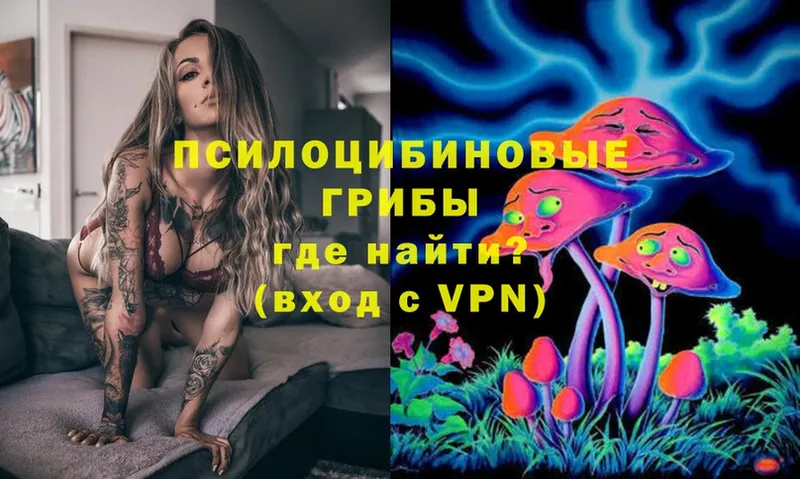 Псилоцибиновые грибы Psilocybe  Валуйки 